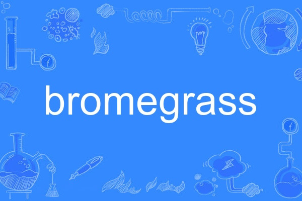 bromegrass bromegrass