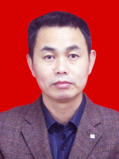 朱建平(浙江省麗水市遂昌縣遂昌縣供銷社黨組書記、主任)