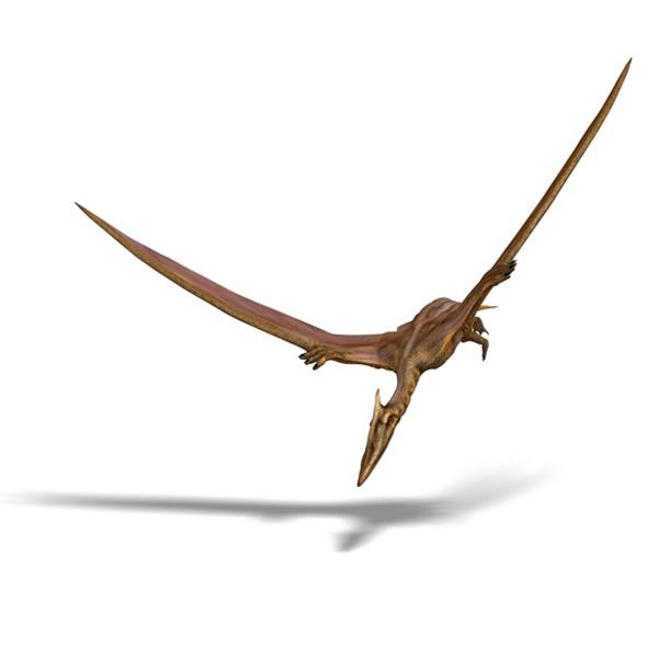 Eurazhdarcho langendorfensis Eurazhdarcho langendorfensis