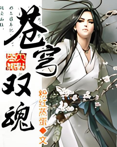 蒼穹雙魂 蒼穹雙魂