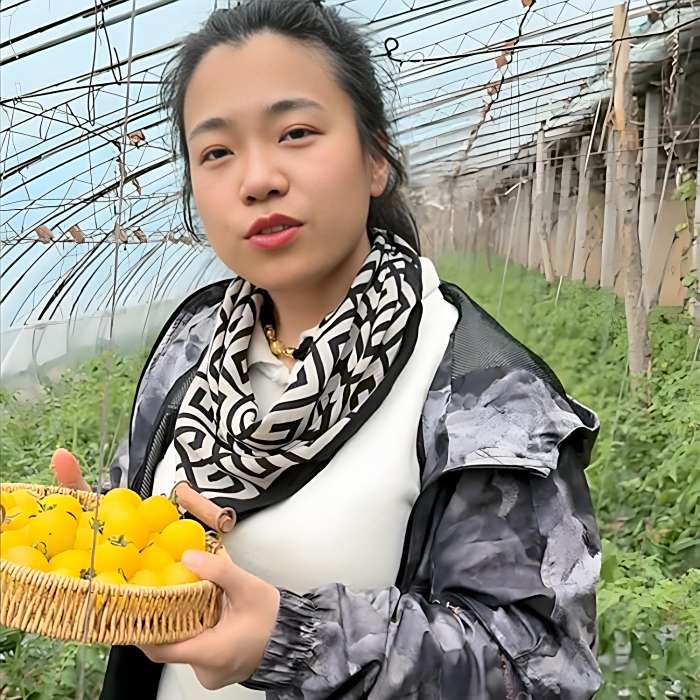 鄉村小盈 鄉村小盈