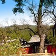 太山(江西名山)