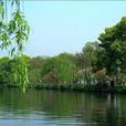 西湖春曉(樓盤名) 西湖春曉(樓盤名)