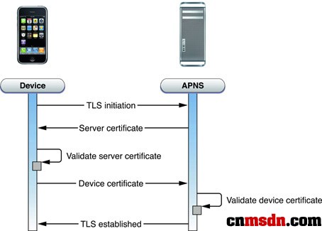 物理連線上的認證：SSL/TLS連結