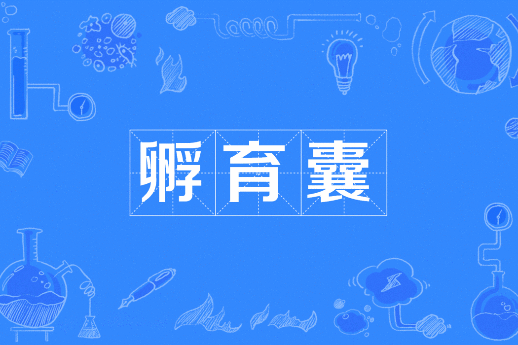 孵育囊 孵育囊
