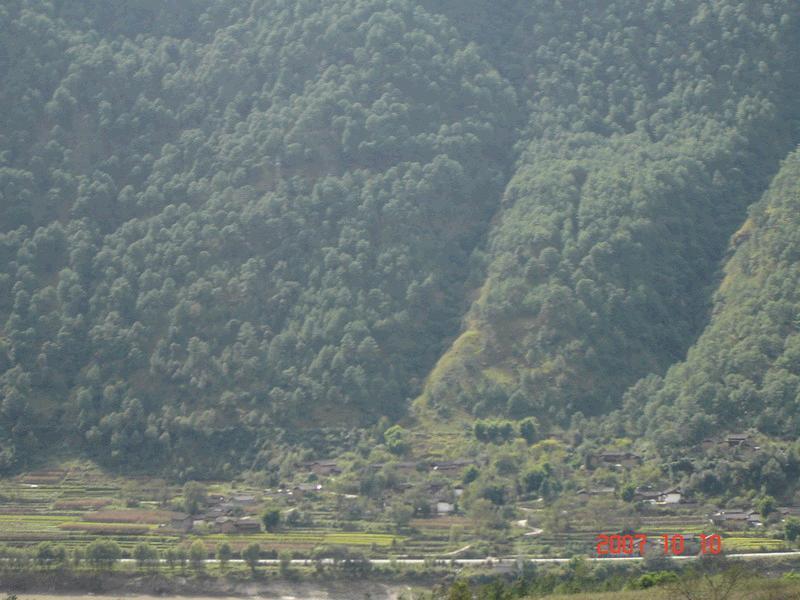 禮仁村 禮仁村