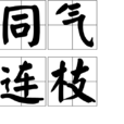 同氣連枝 同氣連枝