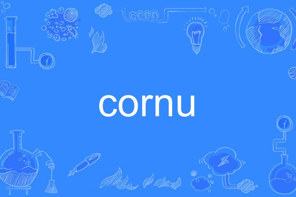cornu cornu