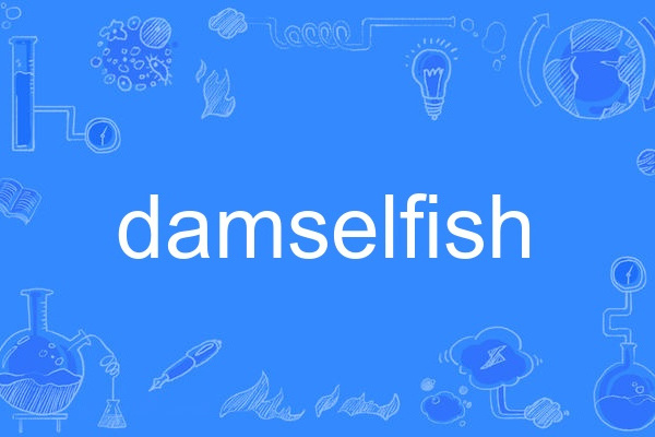 damselfish damselfish