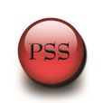 PSS(電力系統靜態穩定器) PSS(電力系統靜態穩定器)