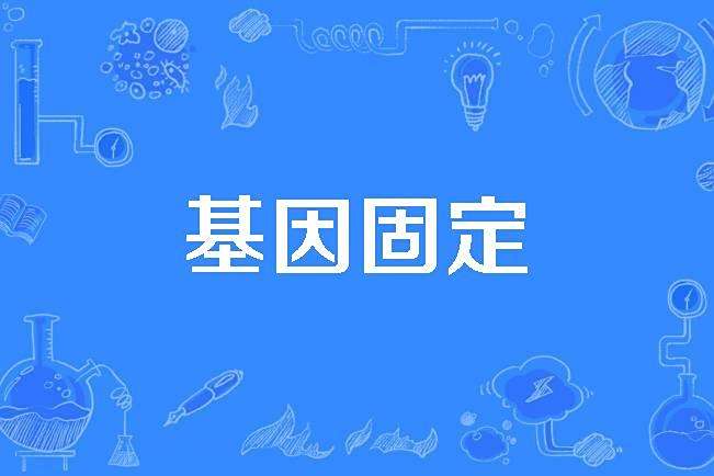 基因固定 基因固定