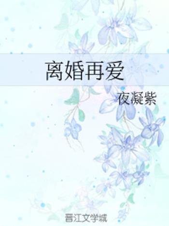離婚再愛 離婚再愛