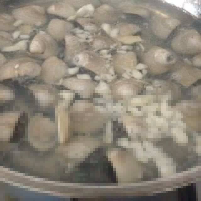 鹽水沙白 鹽水沙白