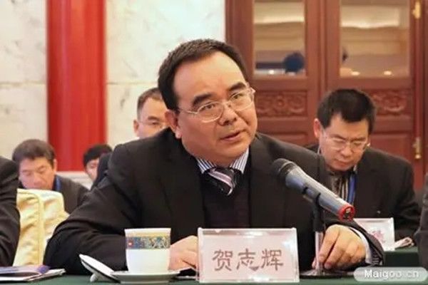 賀志輝(中國鋁業執行董事,總裁,提名委員會委員,發展規則委員會委員) 賀志輝(中國鋁業執行董事,總裁,提名委員會委員,發展規則委員會委員)