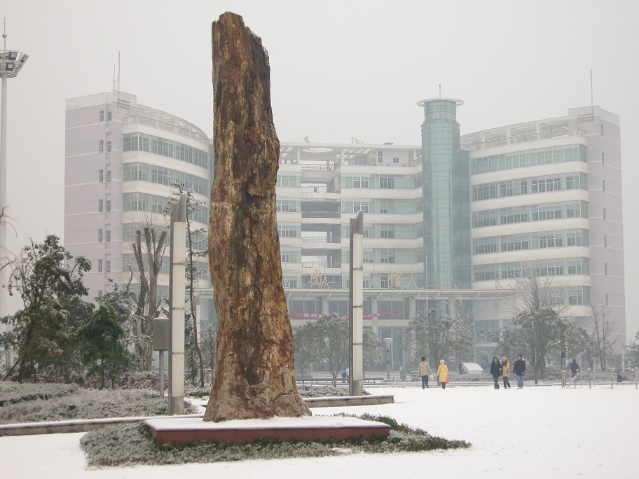 中南林業科技大學圖書館
