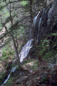 謝南多厄國家公園景觀——暗谷瀑布