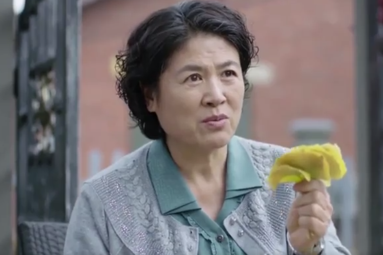 孫月英(都市親情劇《我怕來不及》中的角色)