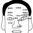 兄弟宮 兄弟宮