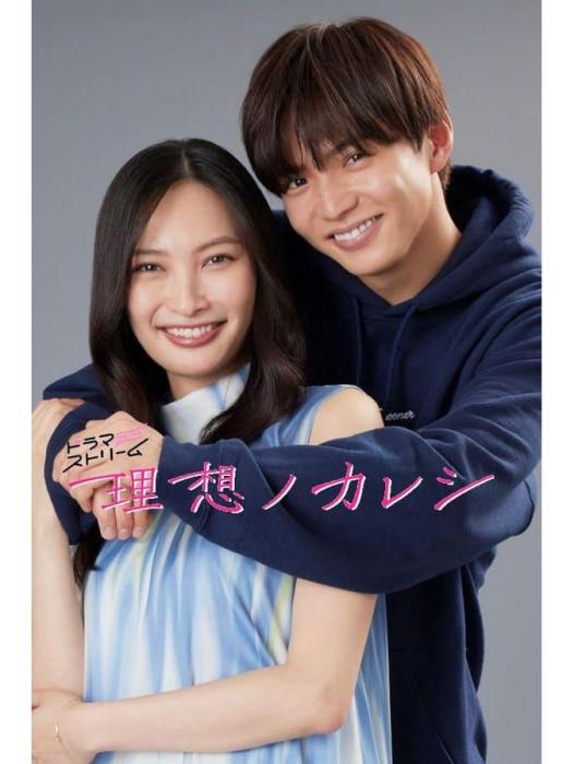 理想男友(大政絢主演的電視劇) 理想男友(大政絢主演的電視劇)
