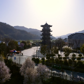 王坤侖