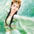 滄海傷蝶 滄海傷蝶