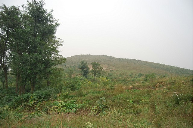 米山墓群 米山墓群