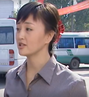 林海玲(中國電視劇《無處藏身》的女角色) 林海玲(中國電視劇《無處藏身》的女角色)