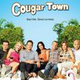 熟女鎮(cougar town)