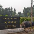 史家遺址 史家遺址