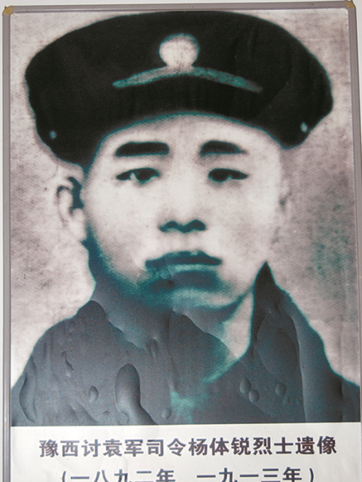 楊體銳