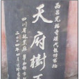 天府樹王 天府樹王