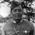林可勝 林可勝