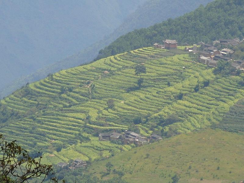 下落寶村 下落寶村
