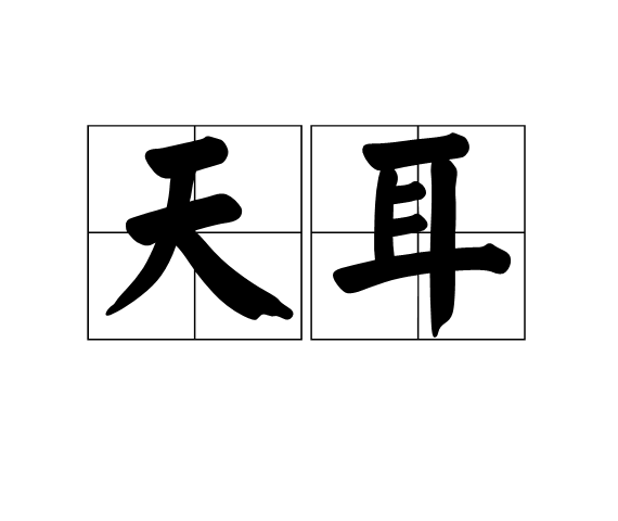 天耳 天耳