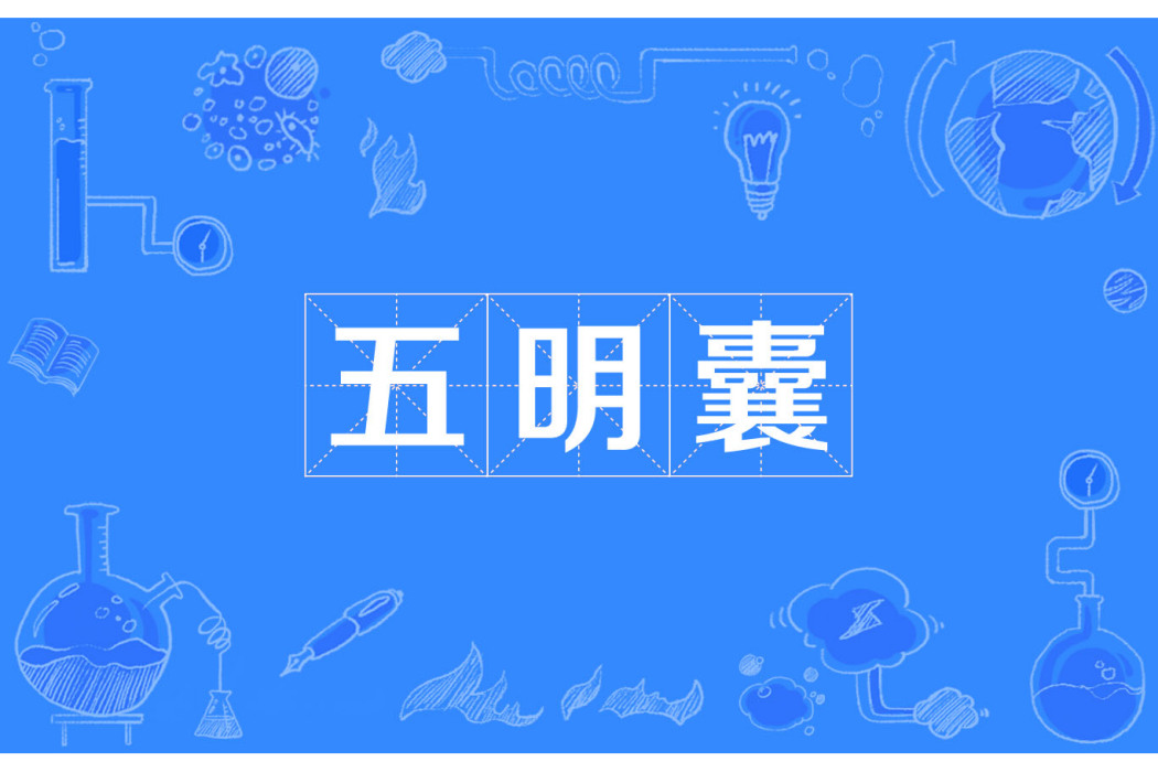 五明囊 五明囊