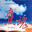 鷹魂 鷹魂