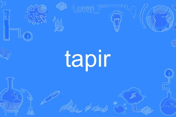 tapir tapir
