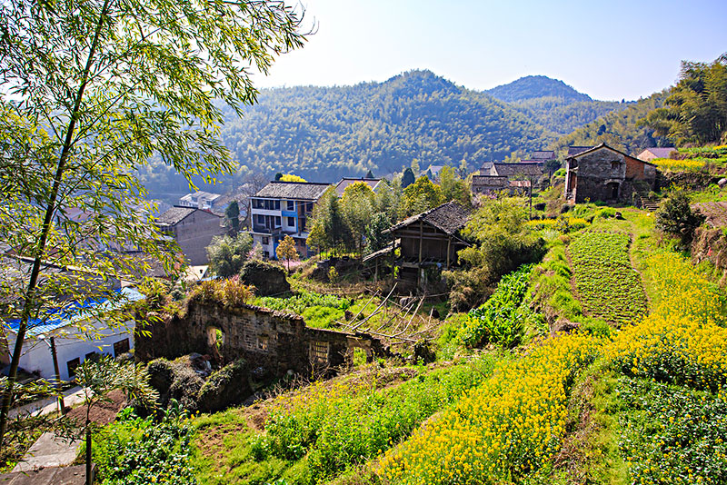 蔣山村(江蘇南京高淳區固城鎮蔣山村)