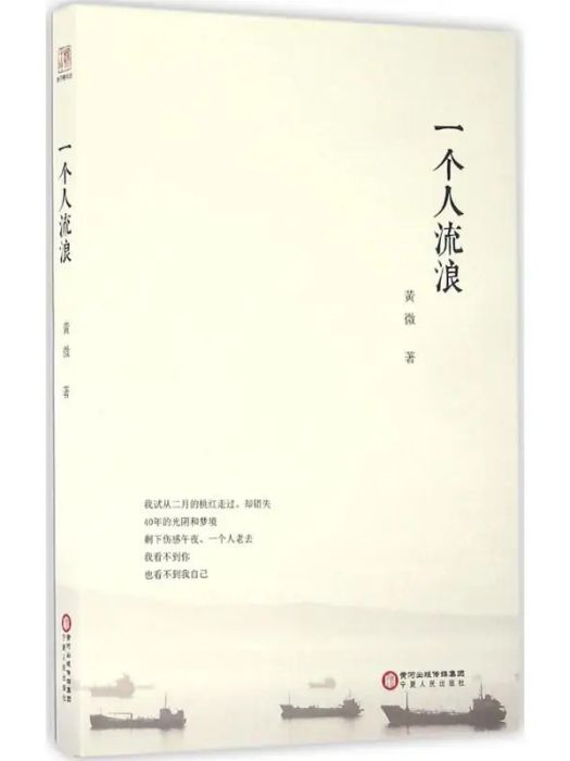 一個人流浪(2016年4月1日寧夏人民出版社出版的圖書) 一個人流浪(2016年4月1日寧夏人民出版社出版的圖書)