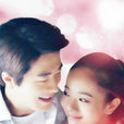 風花雪月(2012年權相佑主演同名電視劇) 風花雪月(2012年權相佑主演同名電視劇)