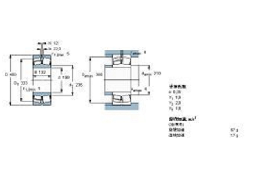 SKF 22338CCJA-W33VA406軸承 SKF 22338CCJA-W33VA406軸承