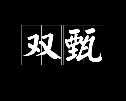 雙甄 雙甄