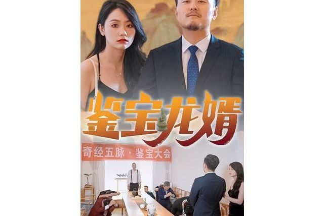 鑒寶龍婿(抖音播出的微短劇) 鑒寶龍婿(抖音播出的微短劇)