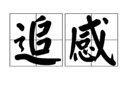 追感(漢語詞語) 追感(漢語詞語)