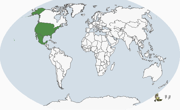北美斑鴨分布圖