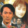 女幹探(1995年的香港電視劇)