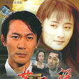 女幹探(1995年的香港電視劇) 女幹探(1995年的香港電視劇)
