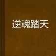 逆魂踏天