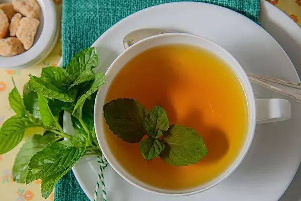 柴胡茶 柴胡茶