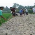 射洪鄉 射洪鄉